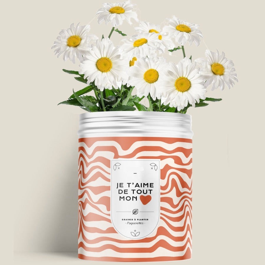 Kit de plantation avec graines de fleurs ou d'aromates personnalisable fabrication France 🇫🇷