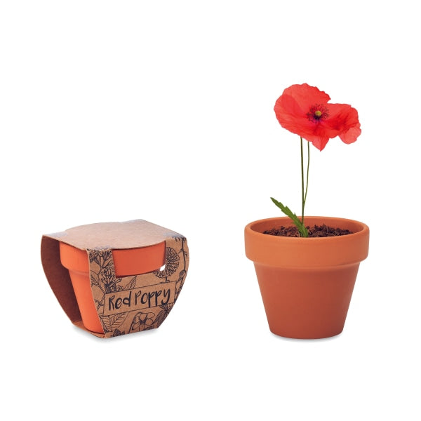 Pot Graines De Coquelicot Red Poppy Personnalisable Brown Plein Air