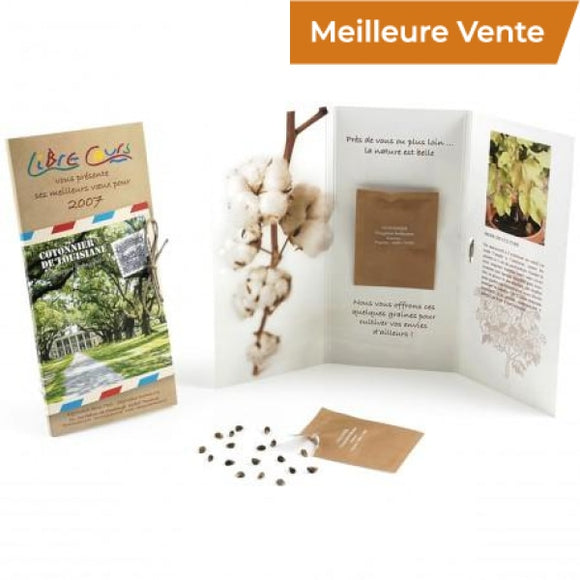Carte Écologique 1 Sachet 3 Volets (Grand Modèle) Plantes Publicitaires