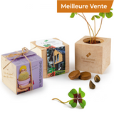 Kit De Plantation Cube En Bois Devenant Un Pot À Crayons Personnalisable Plantes Publicitaires