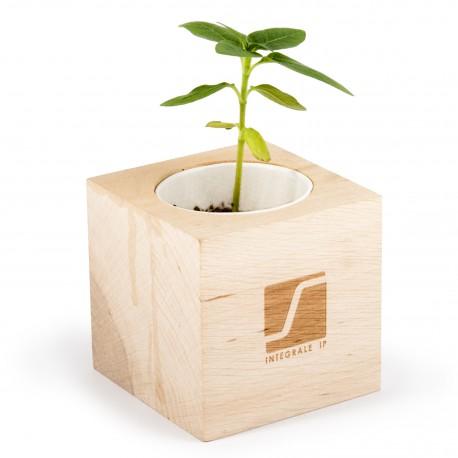 Pot en bois avec graine Menthe MENTA personnalisable