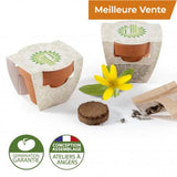 Kit De Plantation Pour Livraison Express Plantes Publicitaires