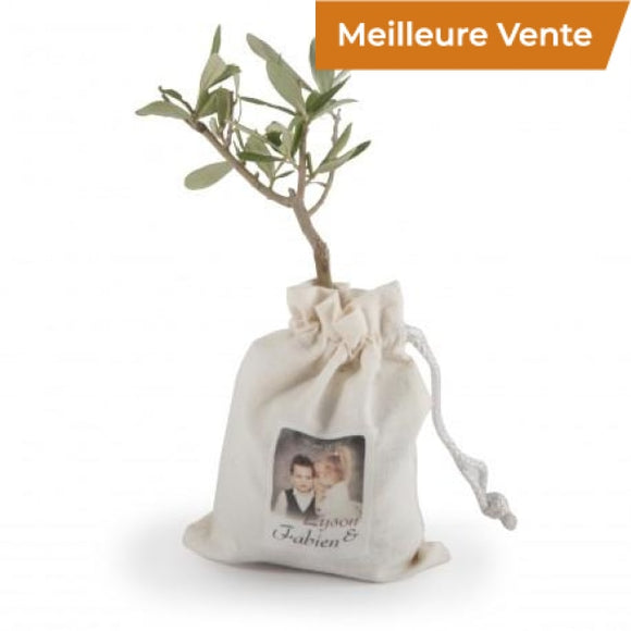 Plant Dolivier En Pochon Coton Plantes Publicitaires