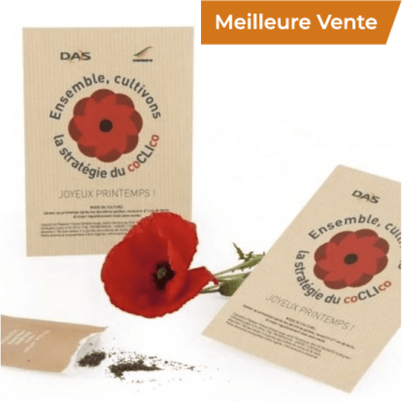 Sachet Kraft Personnalisé Avec Des Graines À Semer Plantes Publicitaires