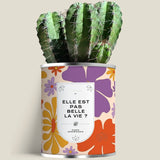 Plante (cactus ou aloé) personnalisable fabrication France 🇫🇷