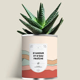 Plante (cactus ou aloé) personnalisable fabrication France 🇫🇷