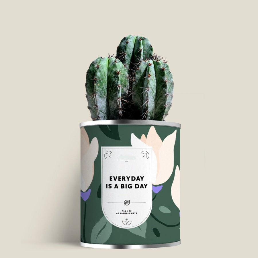 Plante (cactus ou aloé) personnalisable fabrication France 🇫🇷