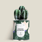 Plante (cactus ou aloé) personnalisable fabriqué en 🇫🇷