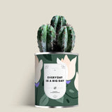 Plante (cactus ou aloé) personnalisable fabrication France 🇫🇷