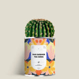 Plante (cactus ou aloé) personnalisable fabrication France 🇫🇷