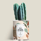 Plante (cactus ou aloé) personnalisable fabrication France 🇫🇷