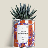 Plante (cactus ou aloé) personnalisable fabrication France 🇫🇷