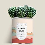 Plante (cactus ou aloé) personnalisable fabrication France 🇫🇷
