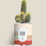 Plante (cactus ou aloé) personnalisable fabrication France 🇫🇷