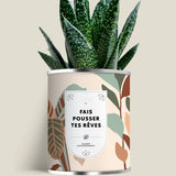 Plante (cactus ou aloé) personnalisable fabrication France 🇫🇷