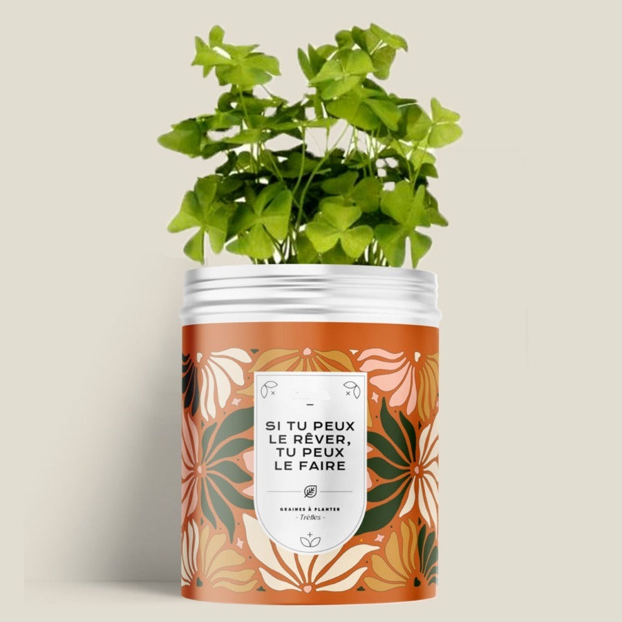 Kit de plantation avec graines de fleurs ou d'aromates personnalisable fabrication France 🇫🇷