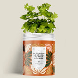 Kit de plantation avec graines de fleurs ou d'aromates personnalisable fabriqué en 🇫🇷