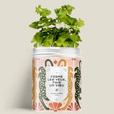 Kit de plantation avec graines de fleurs ou d'aromates personnalisable fabrication France 🇫🇷