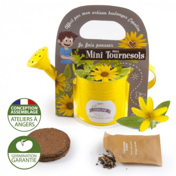 Arrosoir Zinc Avec Graines À Faire Pousser Personnalisable Plantes Publicitaires