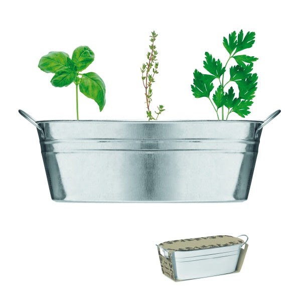 Bac En Zinc & Herbes Aromatique Mix Seeds Personnalisable Silver Plein Air
