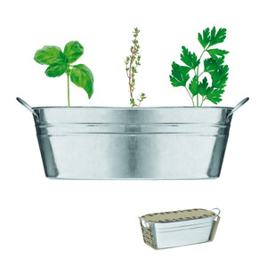 Bac En Zinc & Herbes Aromatique Mix Seeds Personnalisable Silver Plein Air