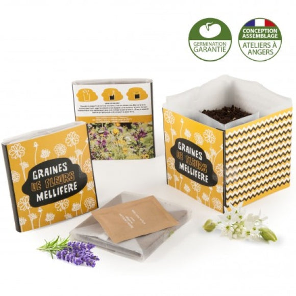 Carré Coco 10X10 Cm Fleurs A Papillons / Impab - Kit De Plantation Personnalisable Plantes