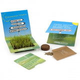Carte Carré De Gazon (Petit Modèle) Personnalisable Plantes Publicitaires