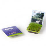 Carte Carré De Gazon (Petit Modèle) Personnalisable Plantes Publicitaires