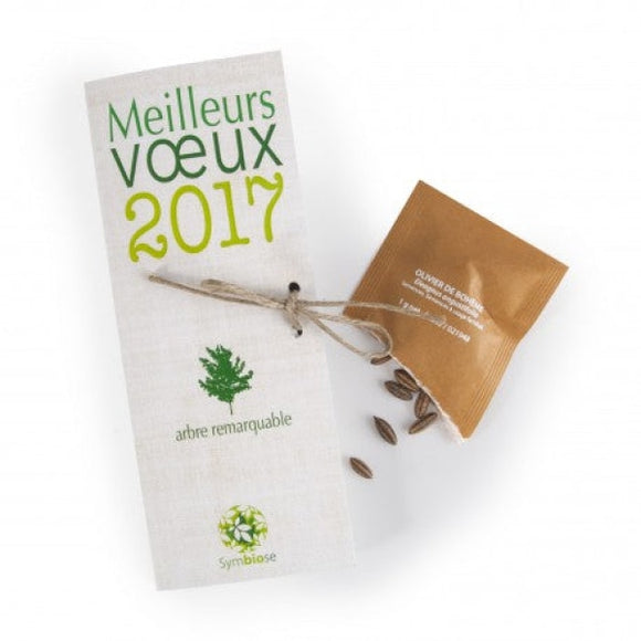 Carte Écologique 1 Sachet 3 Volets (Petit Modèle) Personnalisable Plantes Publicitaires