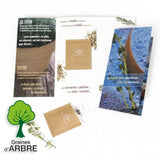 Carte Personnalisée En Papier Recyclé Avec Sachet De Graines (Grand Modèle) Plantes Publicitaires