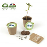 Gobelet En Carton Avec Graines - Kit De Plantation Personnalisable Plantes Publicitaires