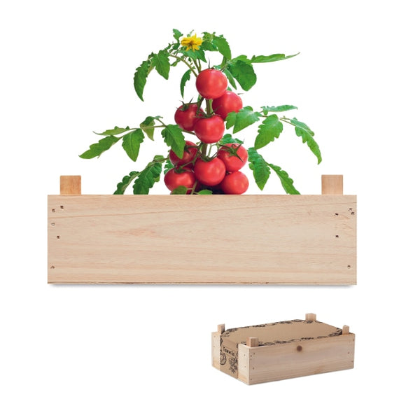 Graines De Tomates Dans Caisset Tomato Personnalisable Brown Plein Air