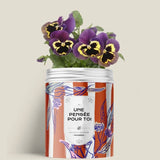 Kit de plantation avec graines de fleurs ou d'aromates personnalisable fabrication France 🇫🇷