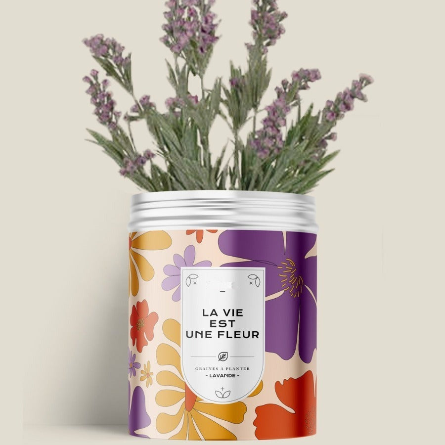 Kit de plantation avec graines de fleurs ou d'aromates personnalisable fabrication France 🇫🇷