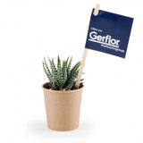 Haworthia En Gobelet Carton Personnalisable Plantes Publicitaires