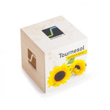 Kit De Plantation Cube En Bois Devenant Un Pot À Crayons Personnalisable Plantes Publicitaires