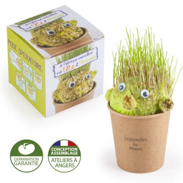Kit de plantation DIY tête à pousser pot carton Made in France