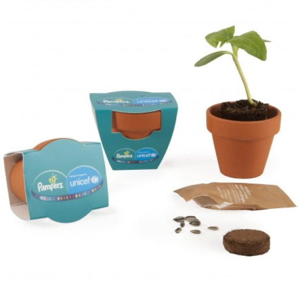 Kit de plantation en pot terre cuite 55mm avec graines à faire pousser  personnalisable
