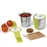 Kit De Plantation En Zinc Avec Des Graines À Faire Pousser Personnalisable Plantes Publicitaires