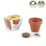 Kit De Plantation - Graines Pré-Imprimé En Livraison Express Plantes Publicitaires