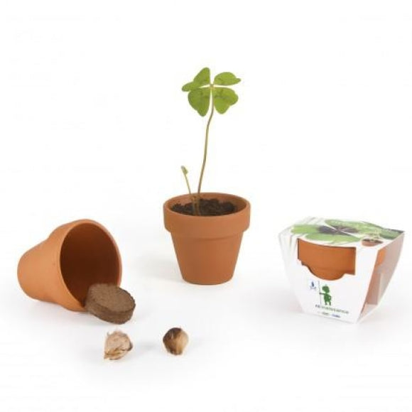 Kit De Plantation - Graines Pré-Imprimé En Livraison Express Plantes Publicitaires