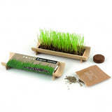 Kit De Plantation Jardinière En Bambou Naturel Avec Graines Personnalisable Plantes Publicitaires