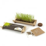 Kit De Plantation Jardinière En Bambou Naturel Avec Graines Personnalisable Plantes Publicitaires