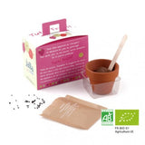 Kit De Plantation Mallette Jardinage Avec Pot Et Graines Personnalisable Plantes Publicitaires