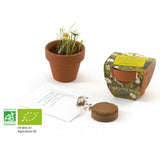 Kit De Plantation Terre Cuite 45Mm Avec Graines À Faire Pousser Personnalisable Plantes