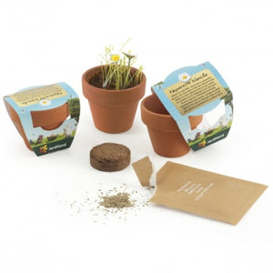 Kit De Plantation Terre Cuite 45Mm Avec Graines À Faire Pousser Personnalisable Plantes