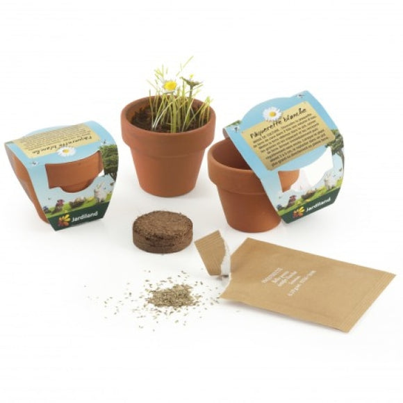 Kit De Plantation Terre Cuite 45Mm Avec Graines À Faire Pousser Personnalisable Plantes