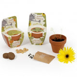 Kit De Plantation Terre Cuite 70 Mm Avec Graines À Faire Pousser Modèle Fronton Personnalisable
