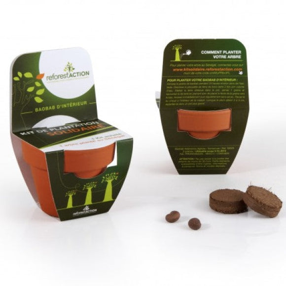 Kit De Plantation Terre Cuite 70 Mm Avec Graines À Faire Pousser Modèle Fronton Personnalisable