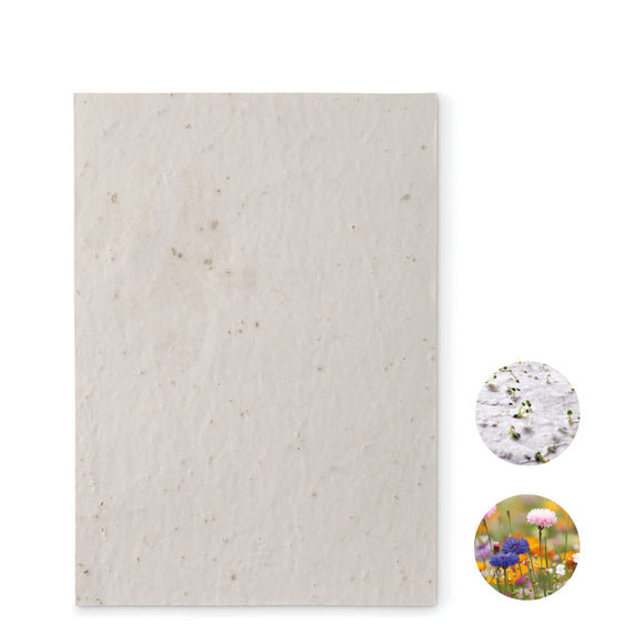 Papier A5 graines de fleurs ASIDE personnalisable-0